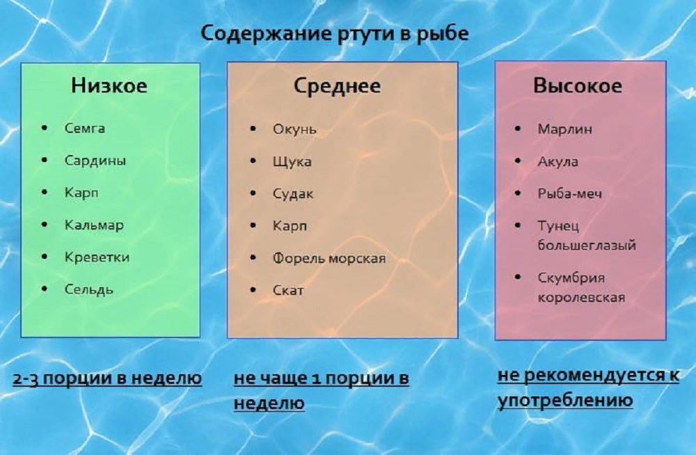 Ртуть в тунце: безопасна ли эта рыба для употребления? | питание и наука