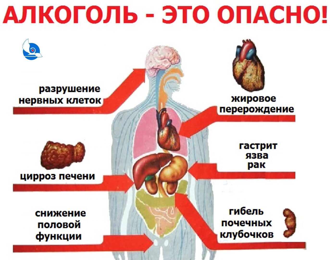 Отношения без чувств: почему люди становятся аромантиками