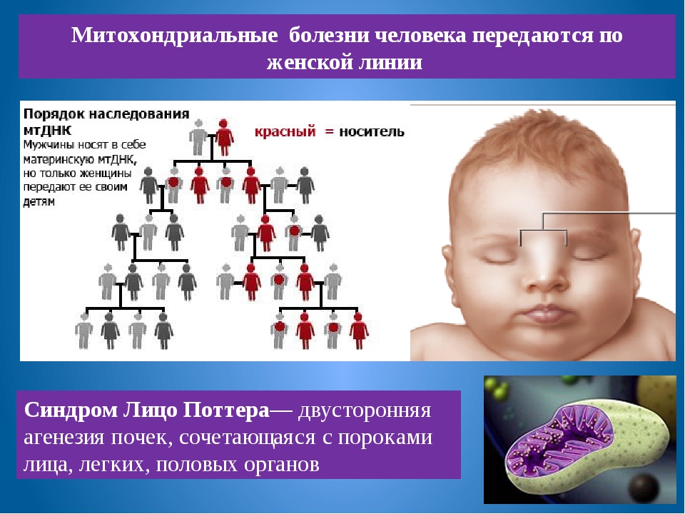 В некоторых странах одни болезни распространены больше, чем другие И Россия — не исключение