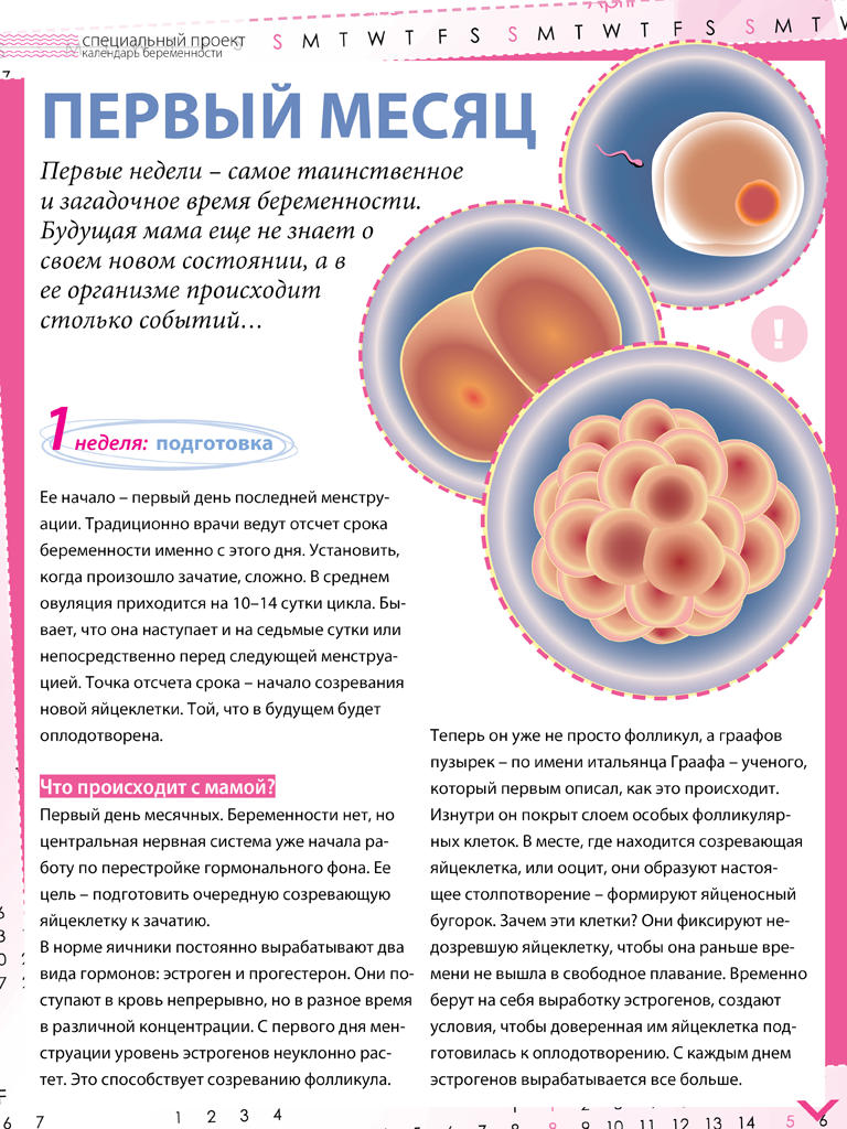 Первые симптомы: как определить беременность до задержки