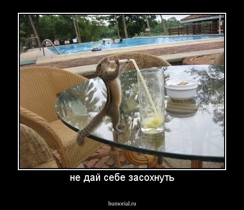10 самых лучших ягод, овощей и фруктов, утоляющих жажду и почти заменяющих воду