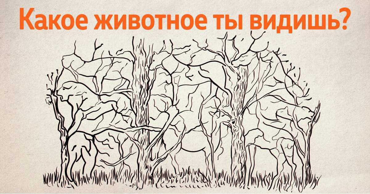Активный тест, что поможет понять, как тебя видят и воспринимают люди »