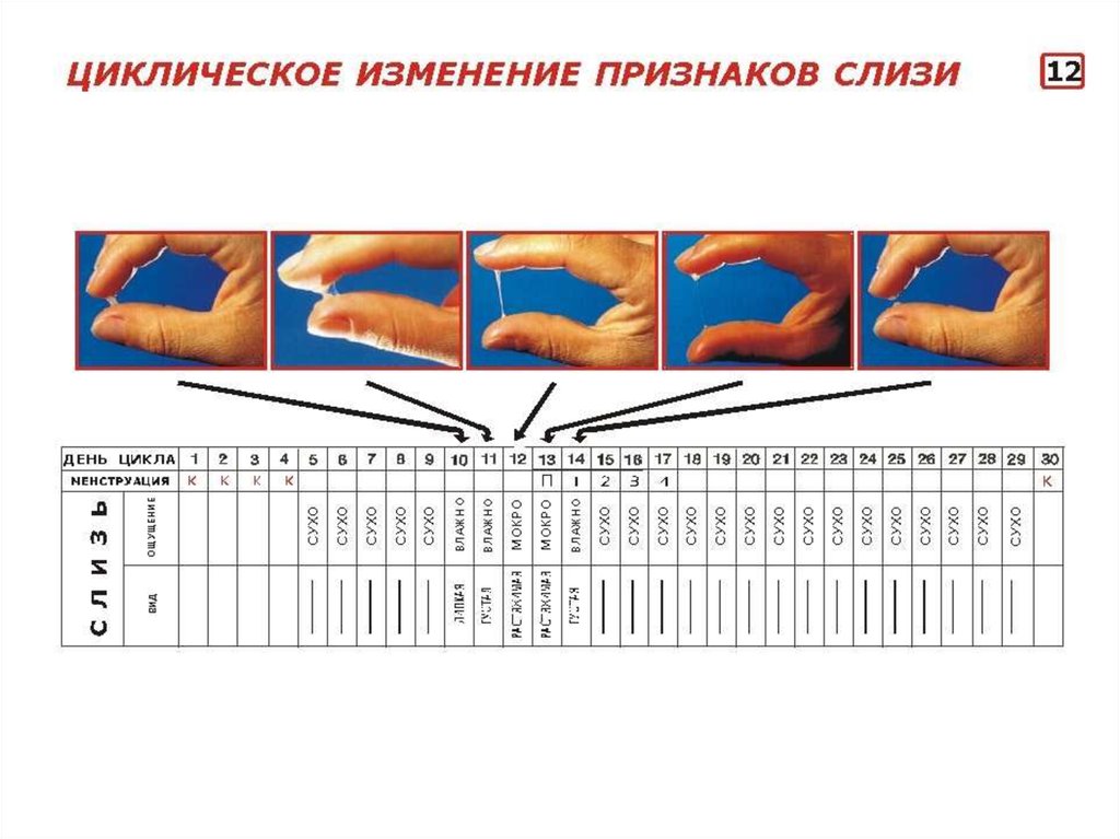 Сухость влагалища: каковы причины и что использовать для увлажнения влагалища? * клиника диана в санкт-петербурге