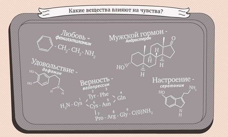 Цитаты про любовь с первого взгляда