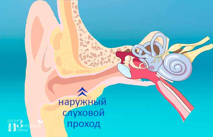 Что делать, если в ухо попала вода