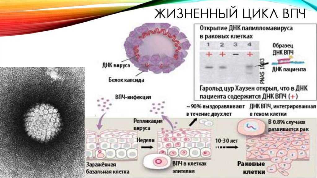 Пресс-центр