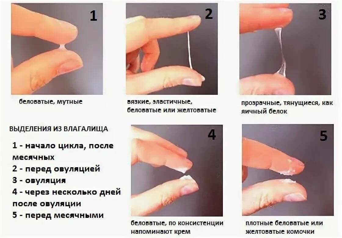 Интимная неблизость: как раскрыться друг другу | психологические тренинги и курсы он-лайн. системно-векторная психология | юрий бурлан