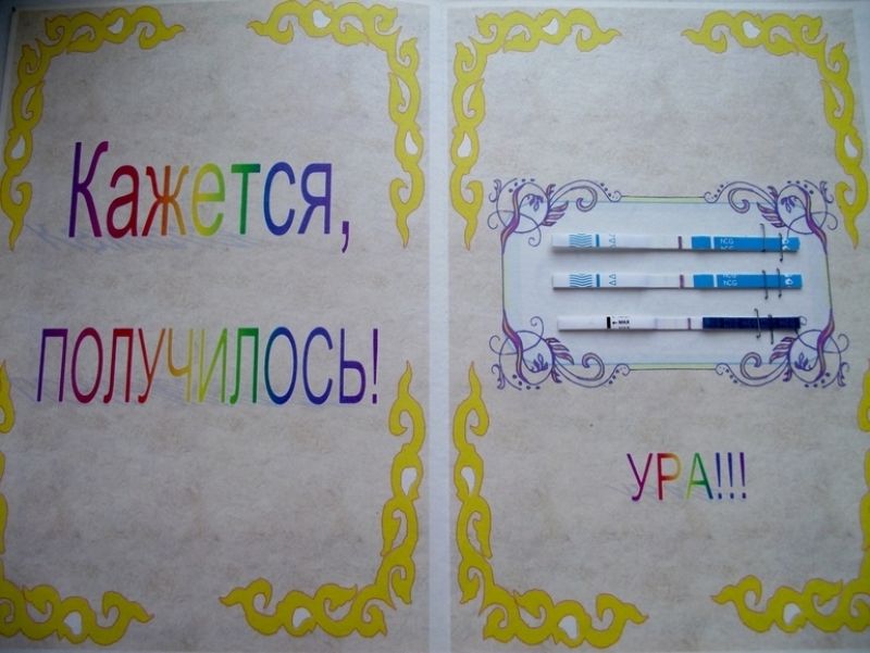Как сказать начальству что беременна???