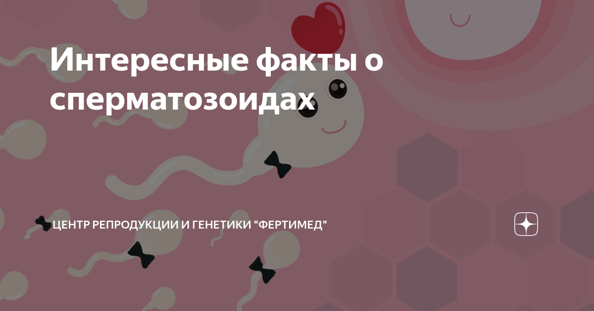 5 фактов о сперме, которые вас удивят | flacon