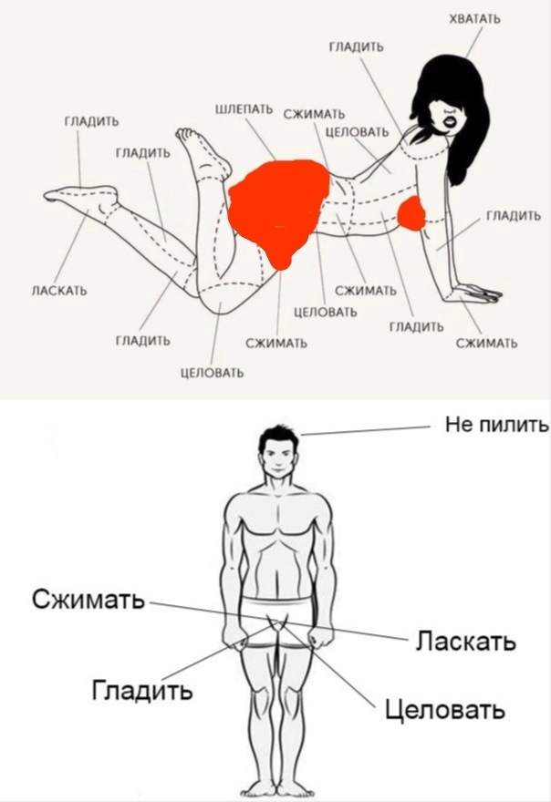 Эрогенные зоны мужчины или раскрываем секреты сильного пола