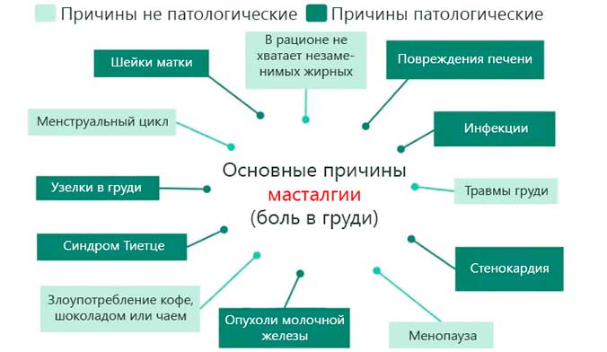 Почему могут болеть соски груди: главные причины, почему возникают болезненные ощущения и что с этим делать