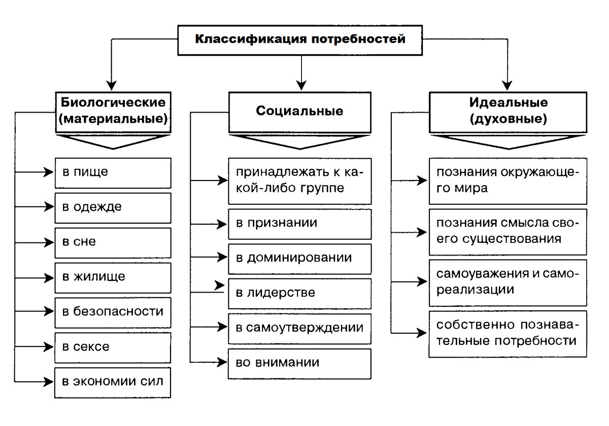 Вместо того чтобы тратить время на раздумья, какого мнения о тебе начальство, почему тебя не пригласили на вечеринку, а парень из соседнего офиса так странно себя ведет, начинай