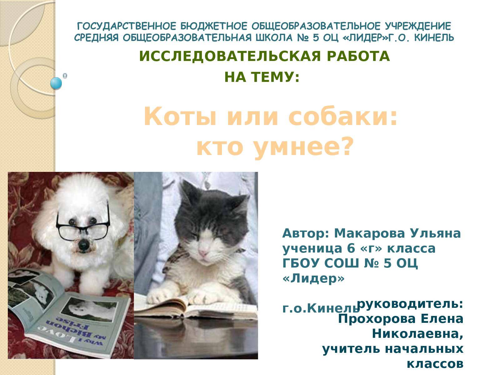Светлана лукьянова / сравниваем кошачий и собачий интеллект: кто умнее. — за права животных (давид литвак) — newsland
