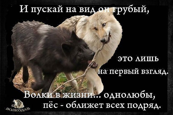 Женщины-однолюбы: какие знаки зодиака любят всю жизнь