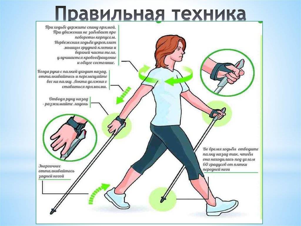 Скандинавская ходьба с палками польза и вред