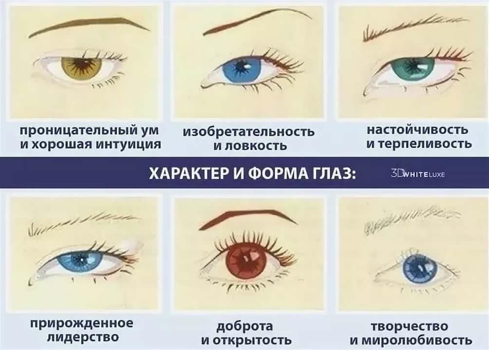 Говорят, что глаза — это зеркало души Но не меньше о человеке может рассказать и его улыбка А точнее — форма двух передних зубов