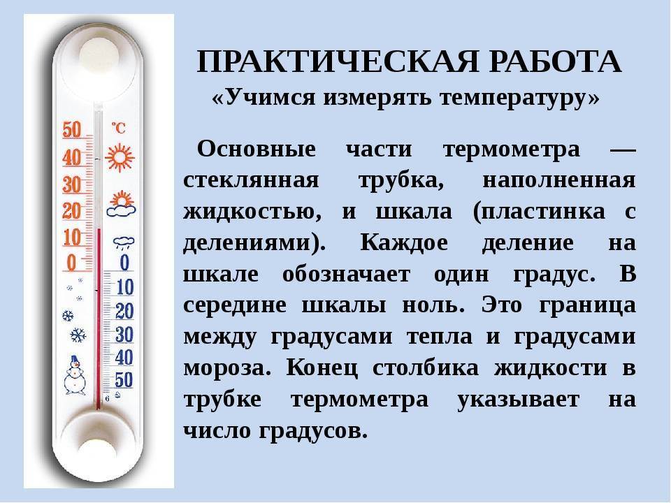От ртутного до инфракрасного: какой градусник точнее