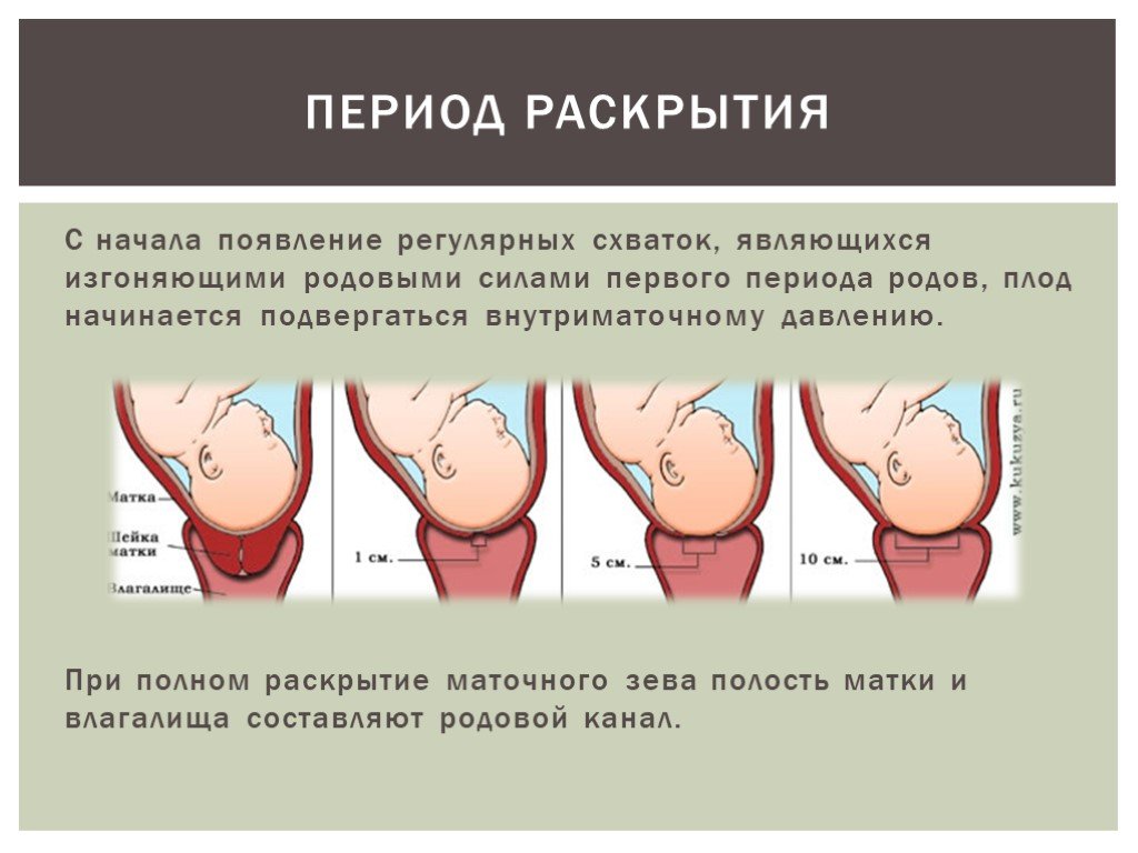 Секс после родов