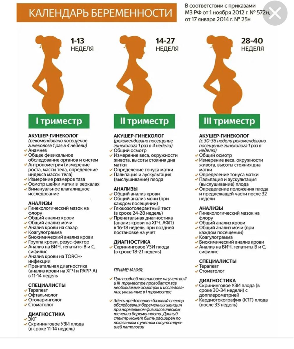 Узи на ранних сроках беременности