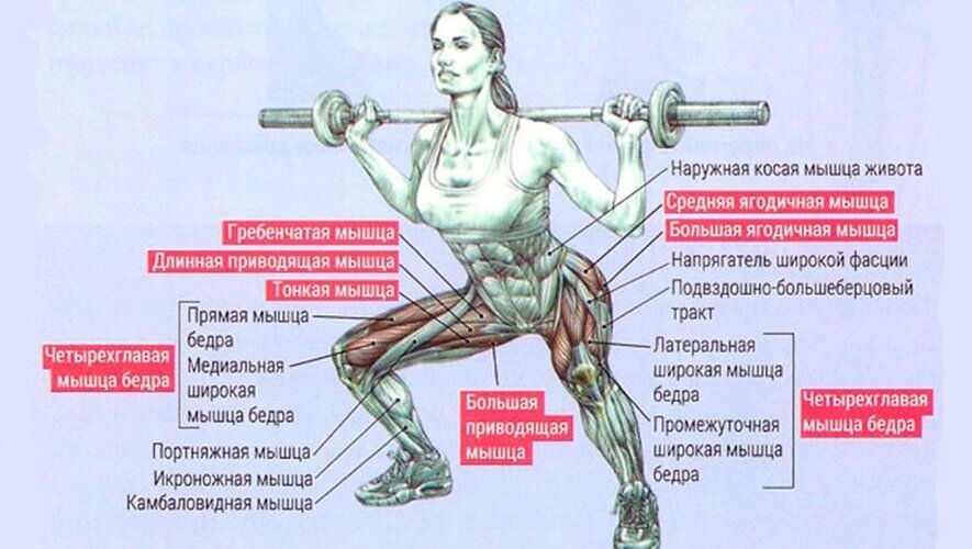 Приседания плие: техника и особенности упражнения | rulebody.ru — правила тела
