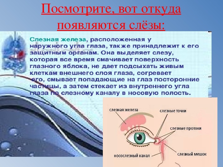 12 видов оргазмов у женщин: ненаучная классификация