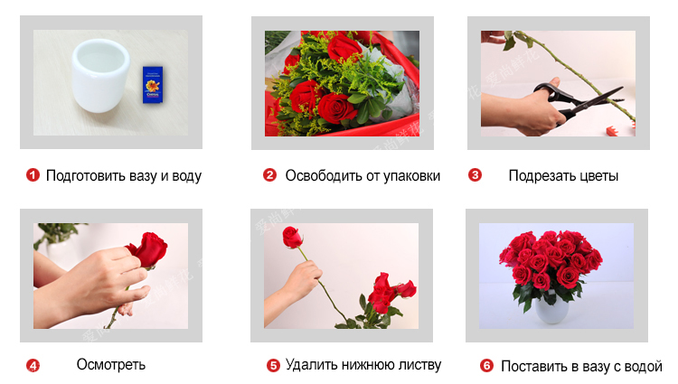 Что сделать, чтобы букет срезанных роз стоял дольше: полезные советы и лайфхаки, как сохранить розы в вазе