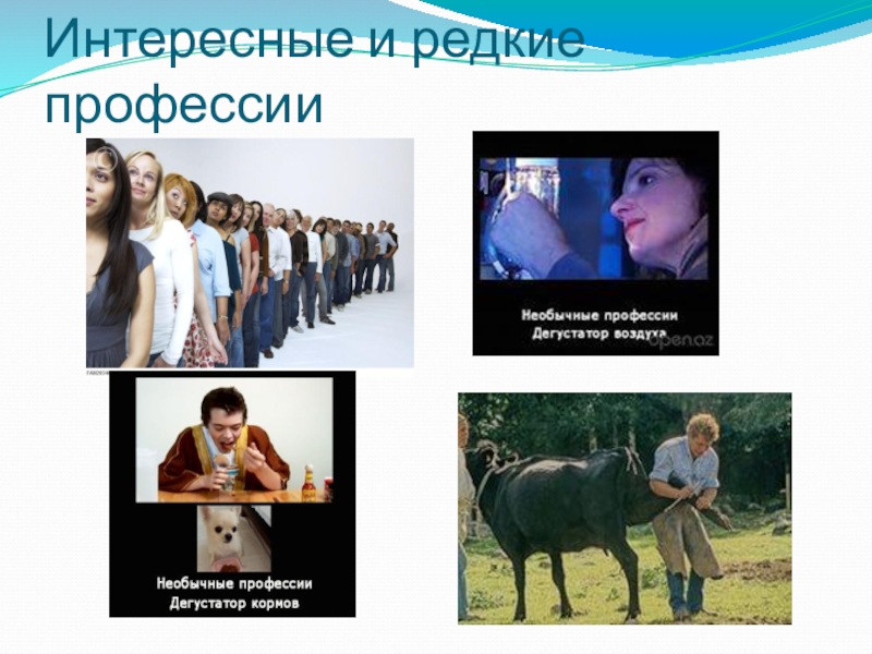 12 самых веселых профессий в мире