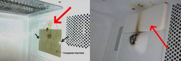 Что можно и нельзя ставить в микроволновую печь: советы zoom. cтатьи, тесты, обзоры