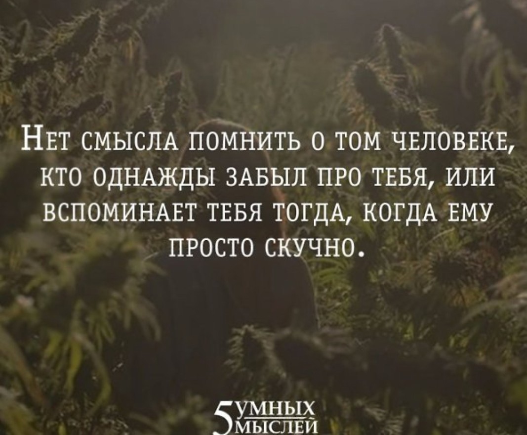 Как стать популярным в наше время? путь к известности | психология | школажизни.ру