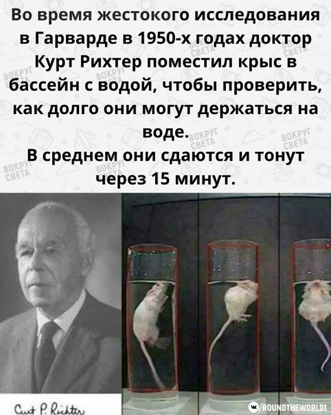 Смерть вуду