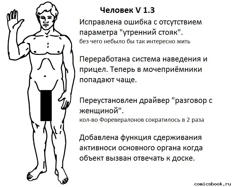 Почему происходит утренняя эрекция? основы и теории
