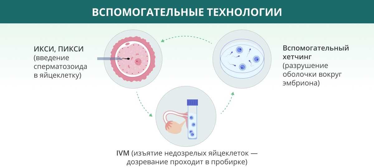 Заморозка яйцеклеток: как происходит?