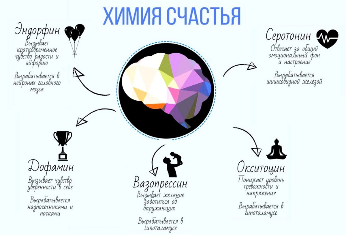 Что такое гормоны счастья и зачем они нужны - горящая изба