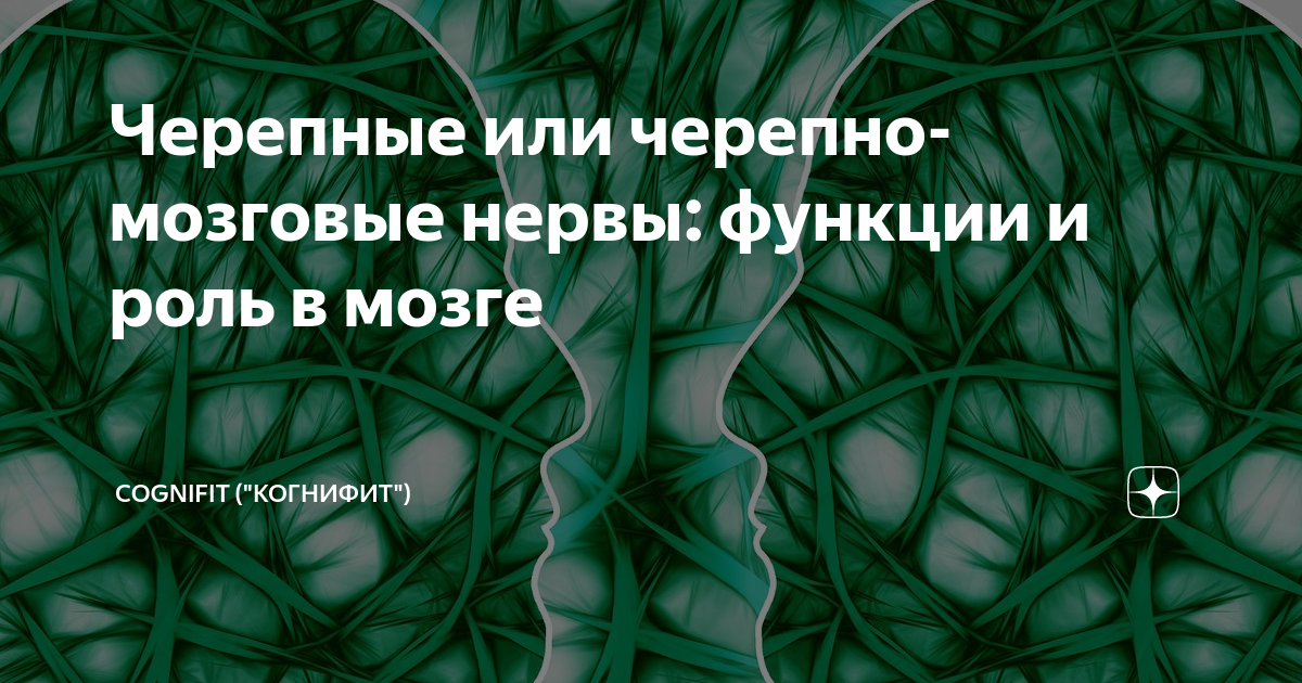 Как запоминать прочитанное с первого раза? | адукар