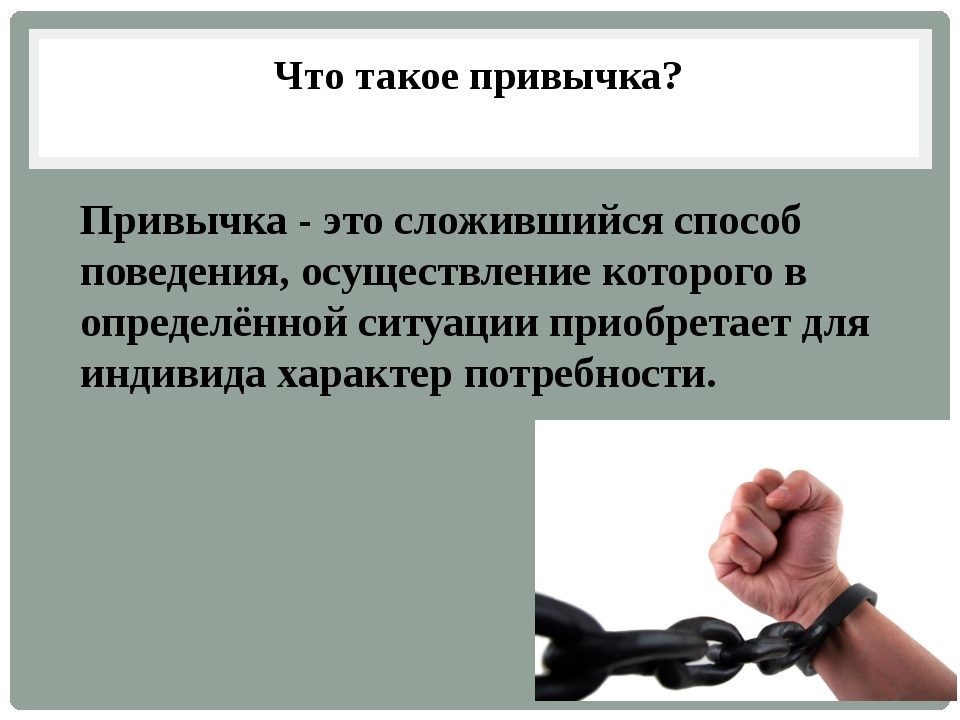 Не с понедельника: как завести любую привычку и почему вам надо это сделать (ультимативный гайд) / хабр