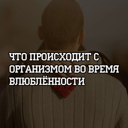 Игра в вопросы для мужа и жены на знание друг друга