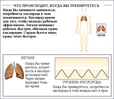 Бабочки в животе: что происходит с нашим телом, когда мы влюбляемся