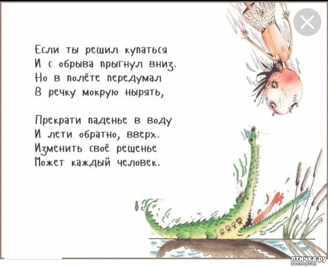 Корейко .ru