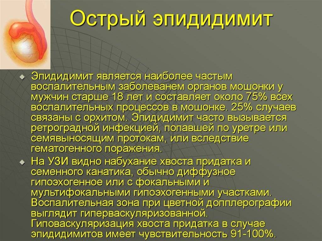 Как ласкать мужские яички правильно