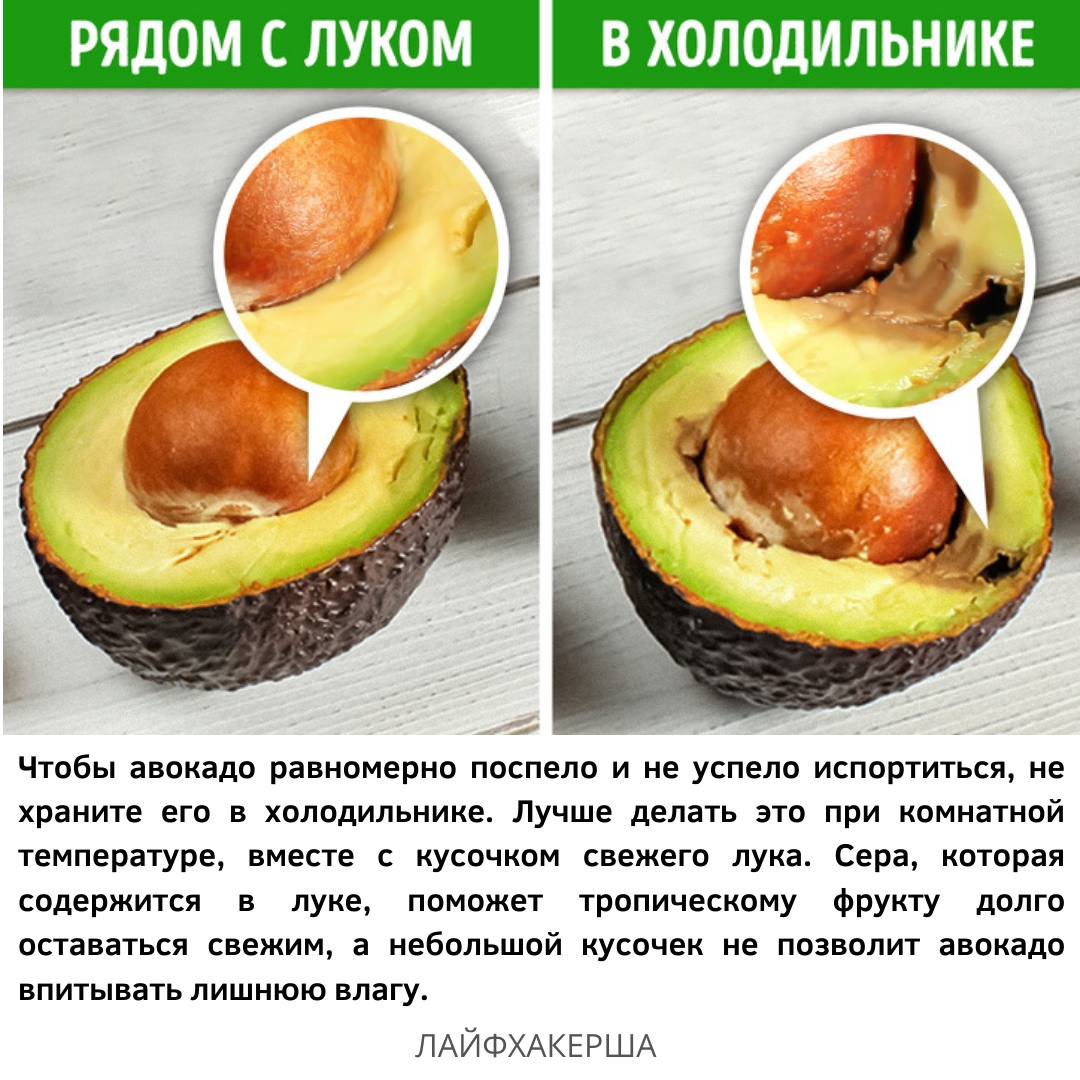 Как хранить авокадо - wikihow