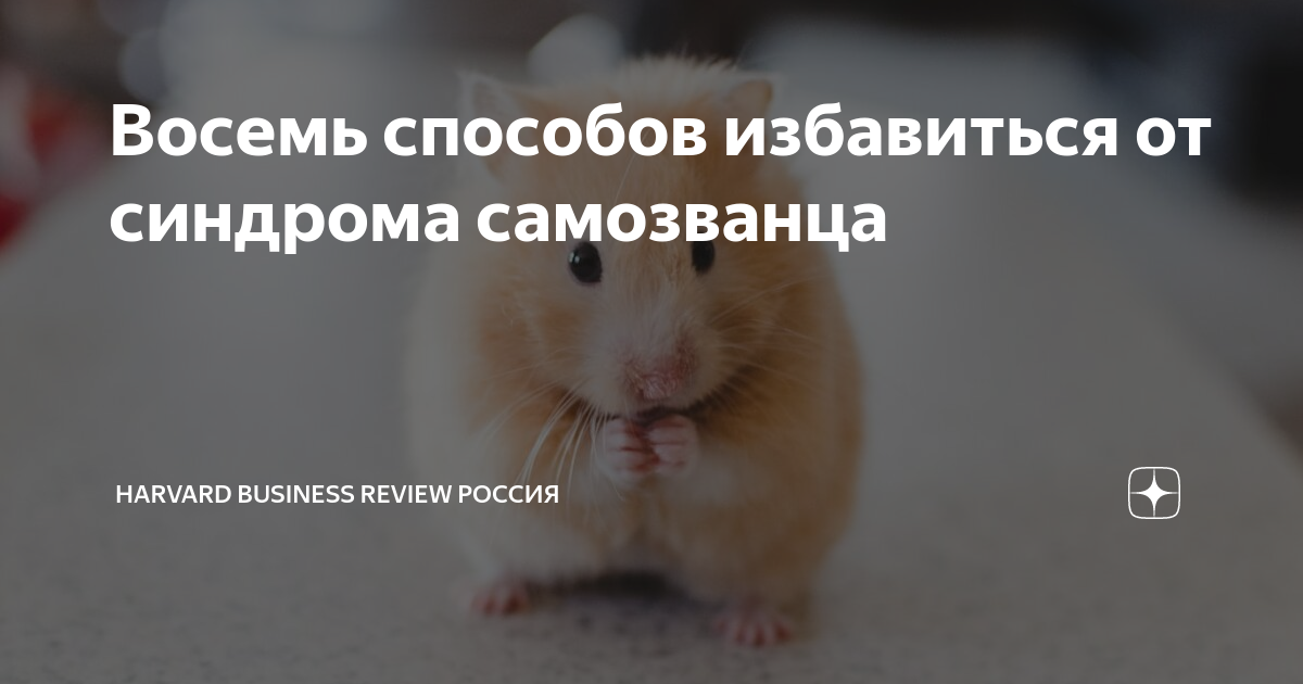Как понимать южный парк: 8 ярких образов скандального мультсериала