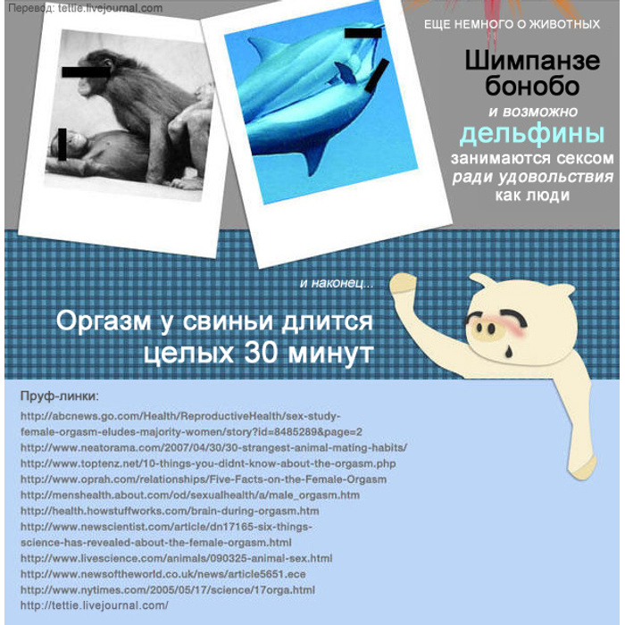 20 секунд в раю: мифы и факты о женском оргазме :: любовь :: клео.ру