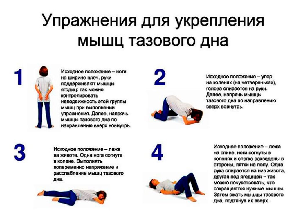 Упражнения для мышц малого таза