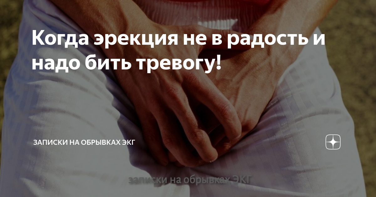 Шок! как на самом деле приручают слонов в тайланде!