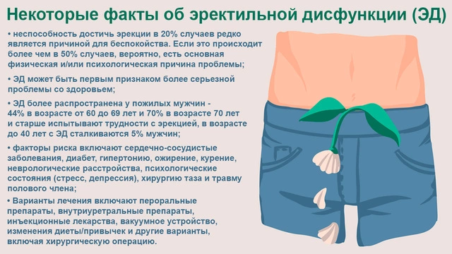Проблемы с эрекцией у молодых: причины и лечение - академфарм