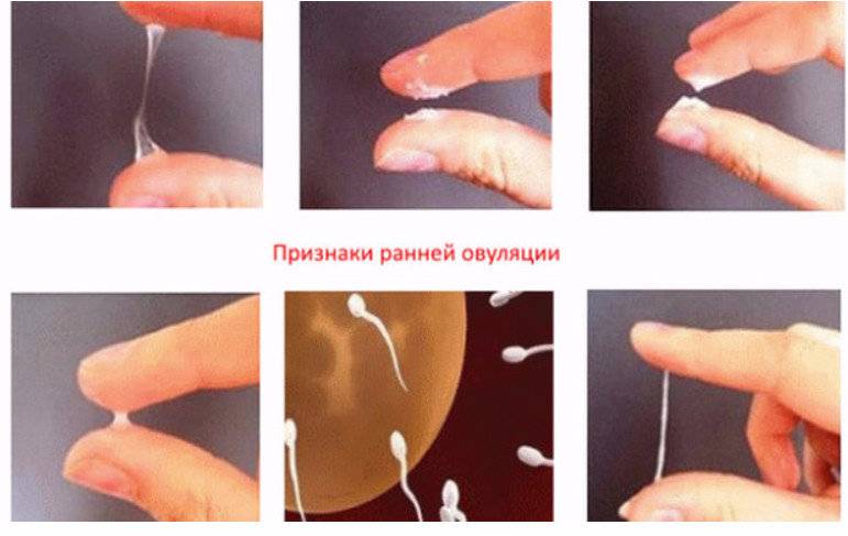 Мастурбация во время беременности: можно ли?