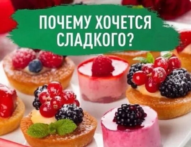 Гиппократ