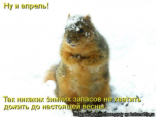 Как зарядиться энергией после зимы: 10 простых советов