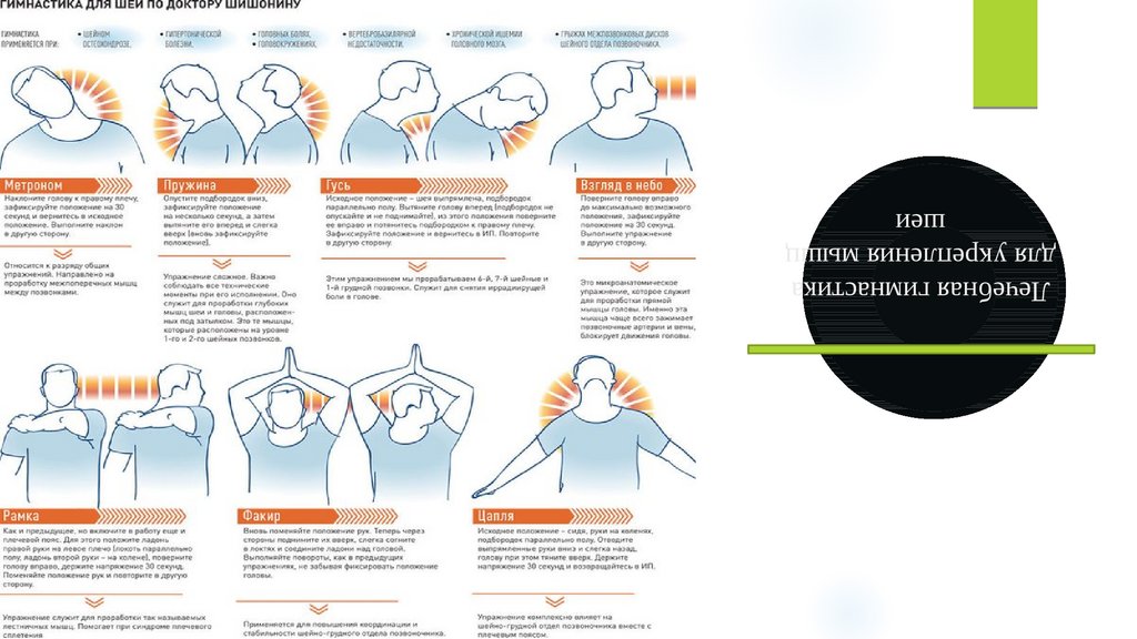 Гимнастика шишонина при гипертонии: для шеи без музыки, лечение, секреты доктора и полный курс упражнений - медицина