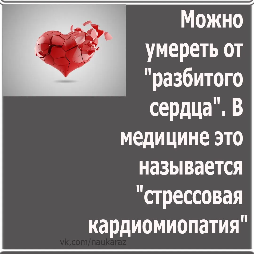 Грустные стихи классиков: печальные, красивые стихотворения великих русских поэтов - рустих